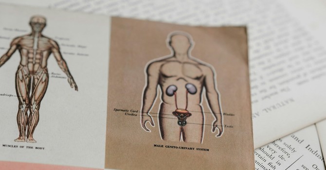Functional Lab Testing